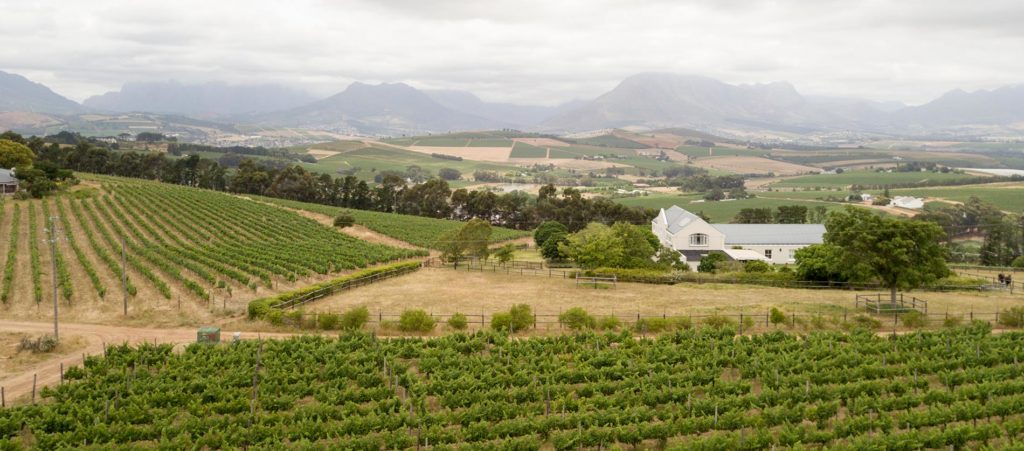 Zuid-Afrikaanse wijnhuizen in Stellenbosch