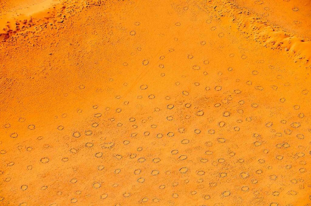 Tientallen fairy circles ver van boven gefotografeerd waardoor het allemaal kleine rondjes in het oranje landschap lijkt