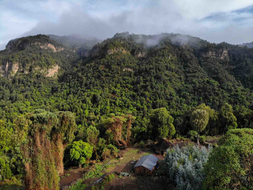 Het uitzicht in Bale Mountains, met begroeide bergen en wolken die er tegenaan hangen