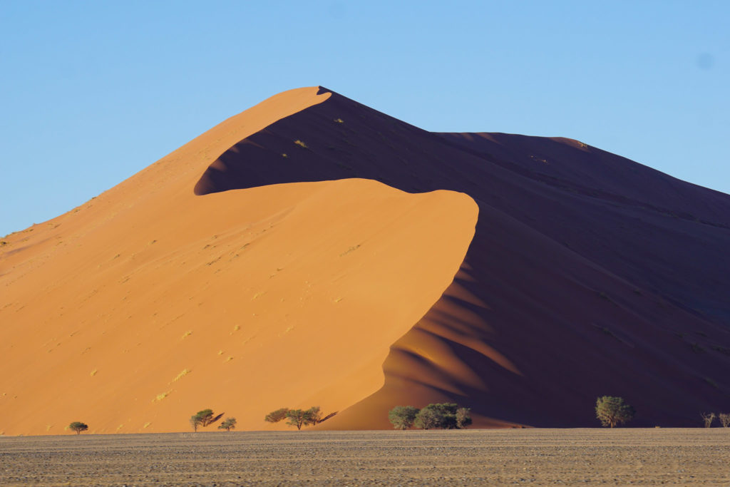 Dune 45. gezien vanaf de voorkant met het kronkelende pad omhoog. Misschien wel de bekendste duin van Sossusvlei