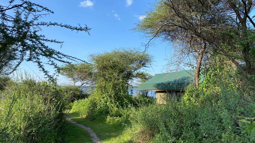 Luxury Lodge in Ndutu